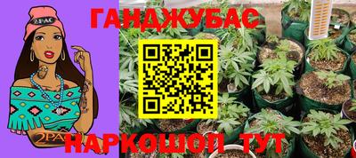 круглые Камышлов