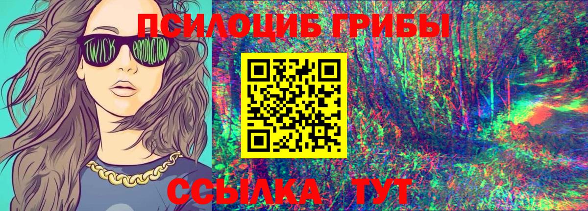Биробиджан  продажа наркотиков  Вход с VPN  Псилоцибиновые грибы прущие грибы  Галлюциногенные грибы Psilocybine cubensis 