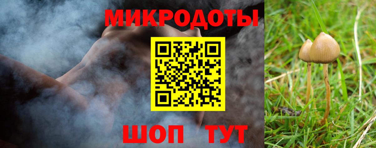 Псилоцибиновые грибы прущие грибы Биробиджан